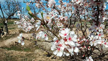 Când frig, când cald! Dacă azi te-ai trezit cu ninsoare, stai să vezi cum va fi vremea marţi!