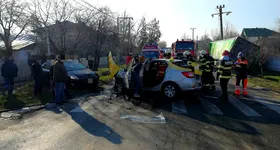 Galerie foto - poza 3