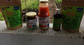 Galerie foto - poza 4