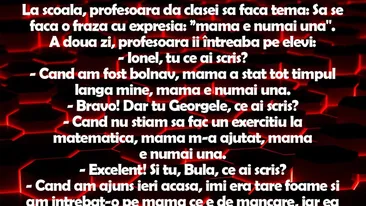 BANC | La școală, profesoara dă clasei tema: Să se facă o frază cu expresia Mama e numai una