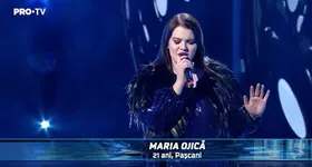 Galerie foto - poza 3