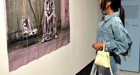 Galerie foto - poza 4