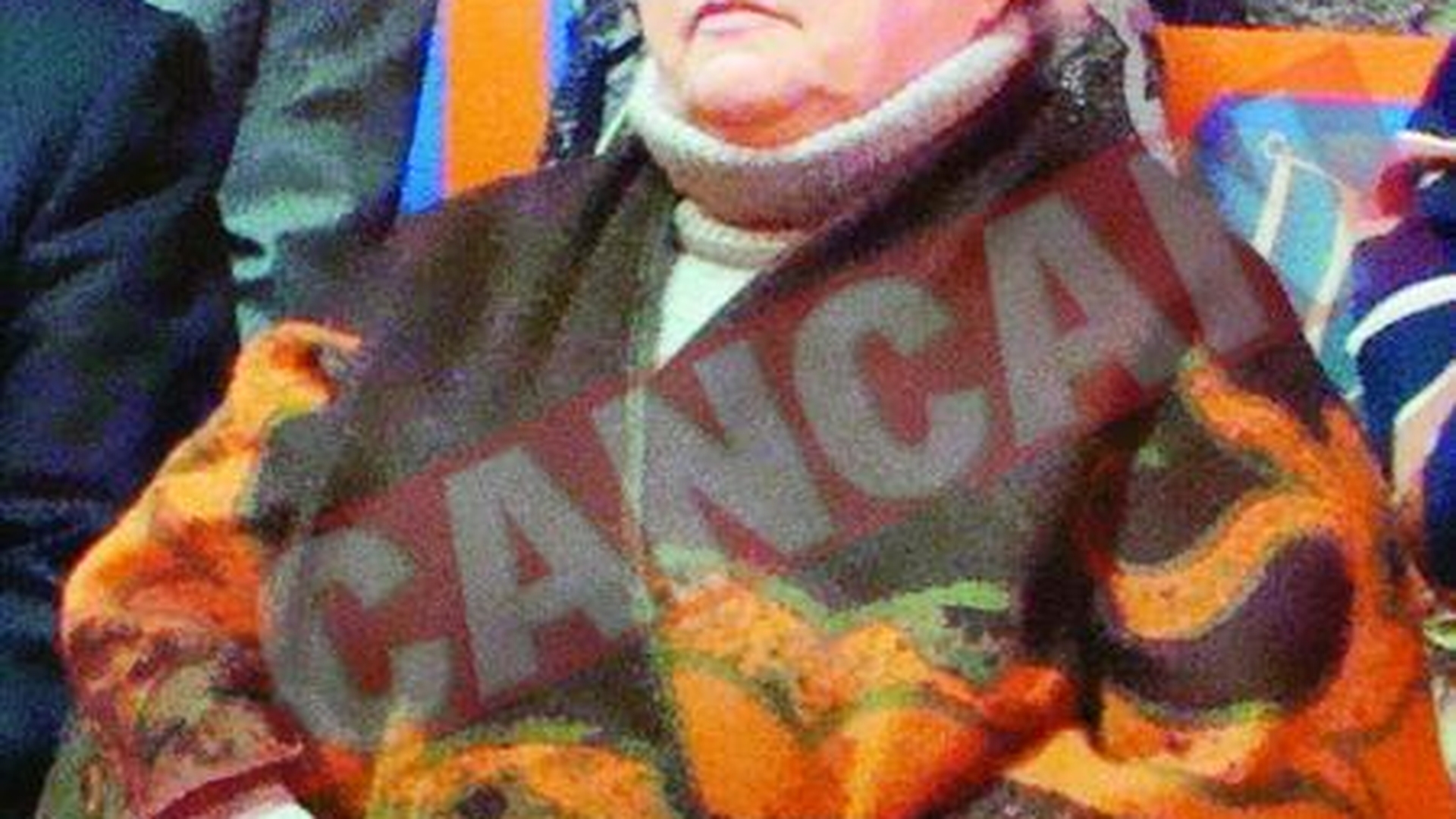 Draga Olteanu, agent electoral pentru "Pinalti"