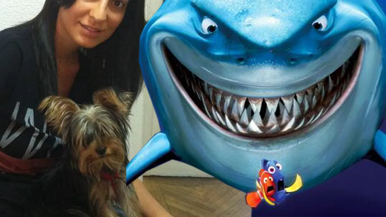 Tonciu wish your girlfriend was hot like me? Imaginea rupta din desene animate cu Andreea Tonciu fara machiaj - Vezi ce are ea din Marele Alb