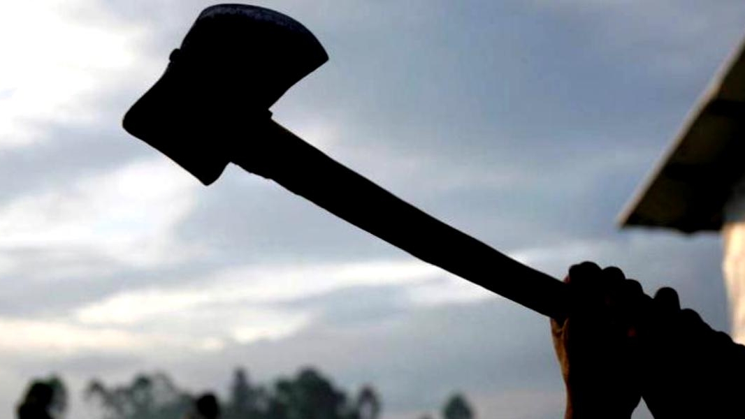 Un viceprimar este acuzat că a taiat cu toporul piciorul unei vaci
