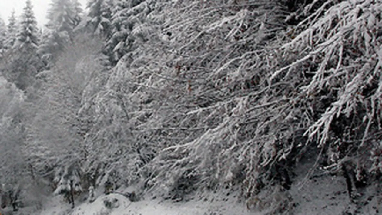 Traficul pe DN 67 D Baia de Arama - Herculane a fost inchis de teama avalanselor! Vezi pe unde nu poti circula azi