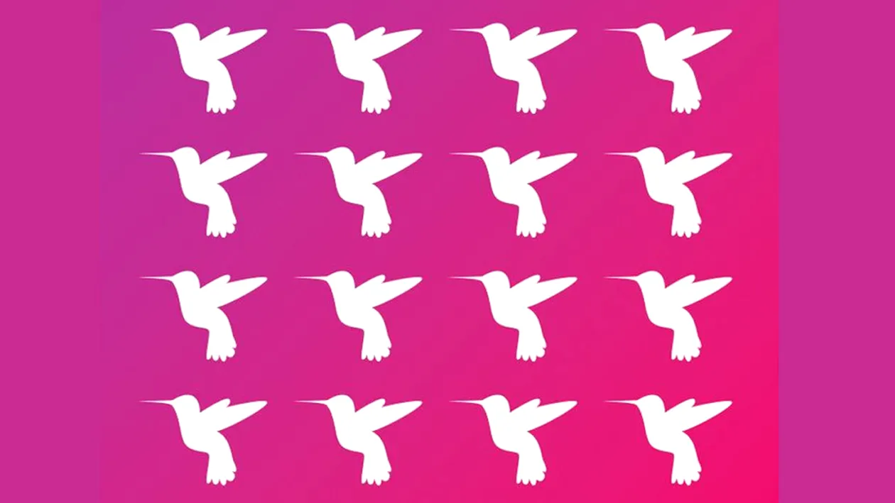 Test de logică | În această poză sunt 16 păsări, dar una e diferită de celelalte. Care?