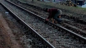 Bătrânul şi-a legat intenţionat câinele de şinele de cale ferată, apoi a aşteptat să vină trenul! Ce s-a întâmplat după câteva minute