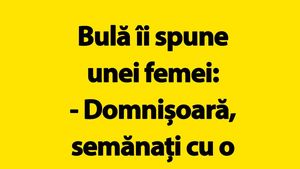 BANC | Bulă îi spune unei femei: "Domnișoară, semănați cu o vedetă de la Hollywood"