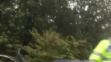 Accident groaznic în Olt. Două persoane au murit, iar alte şapte au fost rănite