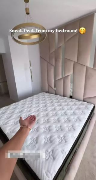 Cum arată apartamentul Ramonei Olaru după renovare. Are aer condiționat cu display și litieră „OZN”