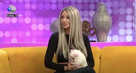 Galerie foto - poza 3