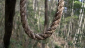 Marius Busuioc, găsit spânzurat în pădure. Ce mesaje stranii a postat înainte să plece de acasă