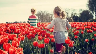 Prognoza meteo 16 martie: Vreme frumoasă și valori mai ridicate decât cele normale