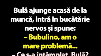 Bancul de luni | Bulă, Bubulina și persoana I plural