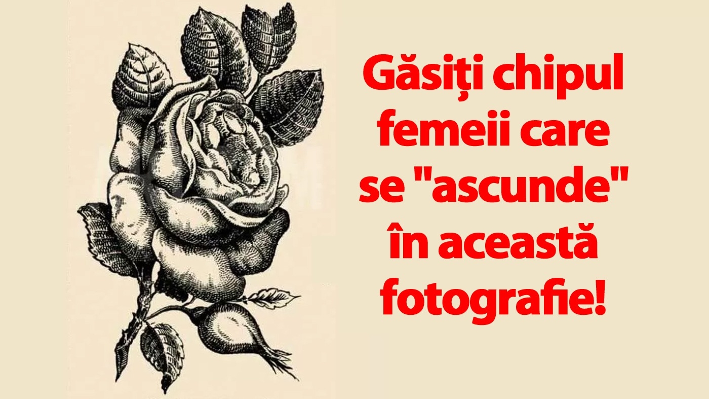Test IQ din anul 1880 | Găsiți chipul femeii care se "ascunde" în această fotografie din Franța!
