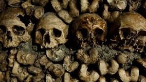 Peste 50 de cadavre au fost gasite intr-o groapa comuna din Mexic