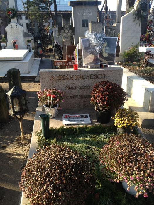 Mormântul poetului a fost "împodobit" de iarnă