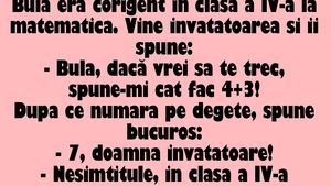 BANC | "Bulă, dacă vrei să te trec la matematică, spune-mi cât fac 4+3!"
