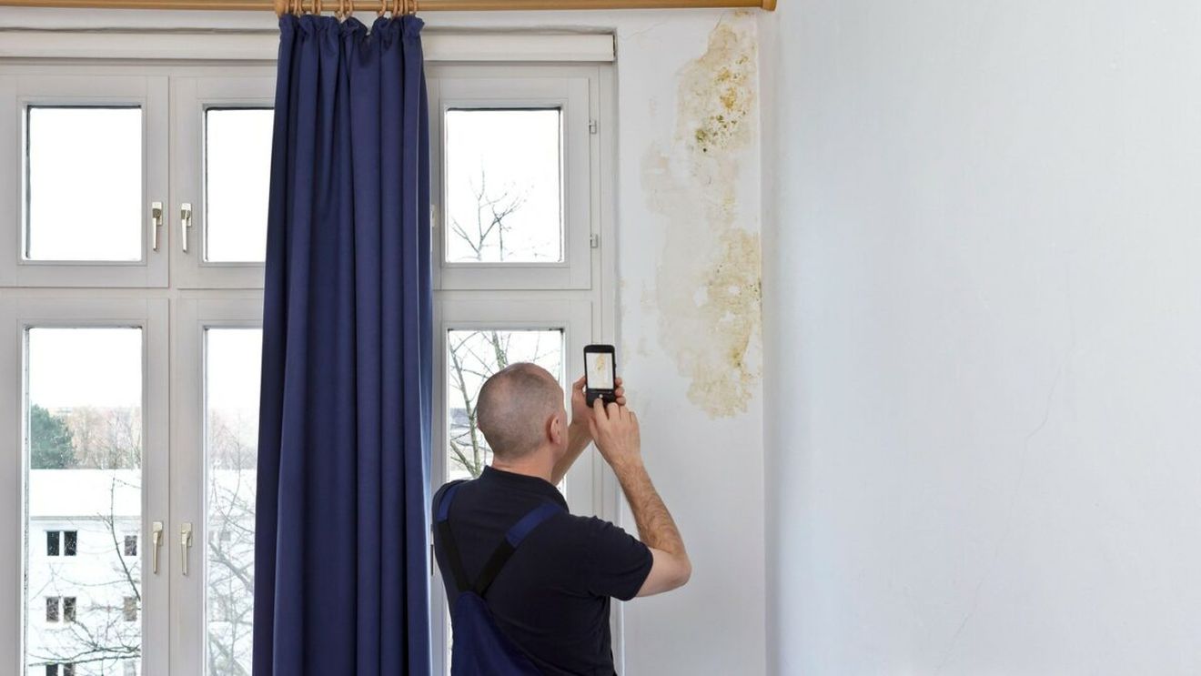 Cum scapi de mucegaiul din casă. Soluția care funcționează tot timpul