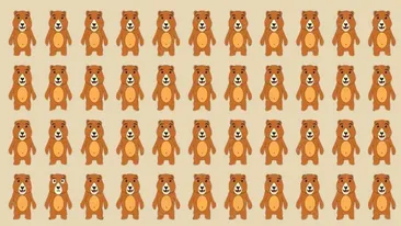 TEST IQ | Unul dintre acești 44 de urși este diferit. Găsiți-l în 4 secunde!