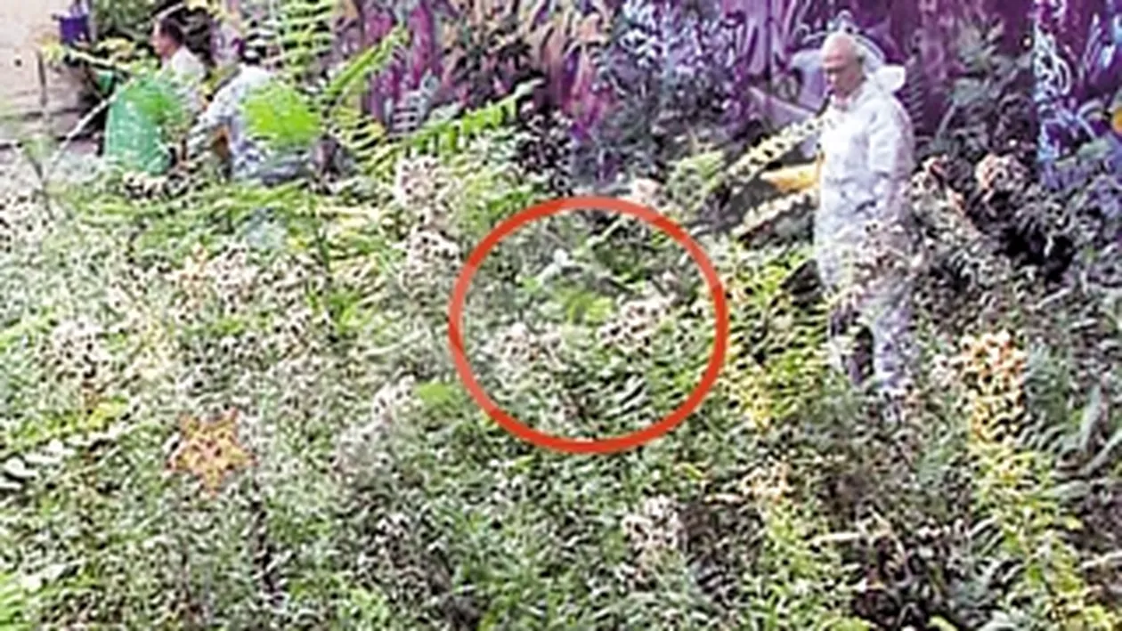 Crima teribila in incinta unui liceu din Bucuresti! Ars de viu in curtea scolii