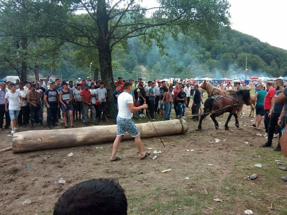 VIDEO. Cai loviți cu sălbăticie de proprietari, la un târg din Argeș. Motivul bătăii este halucinant