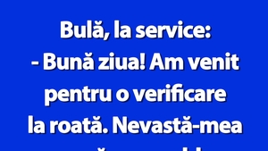 BANC | Bulă, la service: "Am venit pentru o verificare la roată"