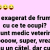 BANCUL ZILEI | „Ești exagerat de frumoasă, cu ce te ocupi?”