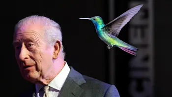 Cum a reacționat Regele Charles după ce o pasăre și-a lăsat „norocul” pe el. A fost atenționat de un martor la incident