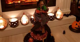 Galerie foto - poza 2