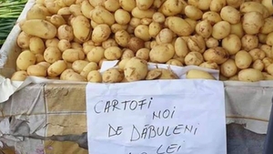 Au apărut primii cartofi noi românești în piață. Câți lei costă 1 kg. "Mai ieftini sunt la McDonald's!"