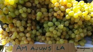 Cum își vinde un român strugurii în piață. Ce a scris pe carton: "Am ajuns la.."