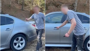 Noaptea minții! Un șofer din Suceava a fugit cu tot cu pasager, în pădure. Îi era frică de polițiști: „M-am speriat!”