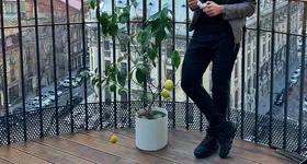 Galerie foto - poza 4