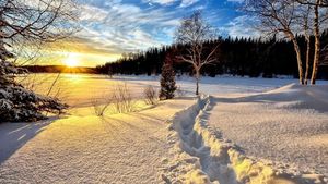 Meteorologii au anunțat ploi, ninsori și vânt! Pentru ce zone este valabilă avertizarea de vreme rece