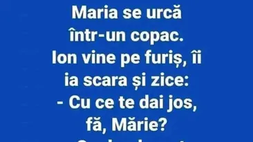 BANC | Maria se urcă într-un copac. Ion vine pe furiș și ia scara: Cu ce te dai jos?