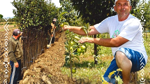 Povestea minerului care a ajuns să dețină cea mai mare pepinieră din Oltenia