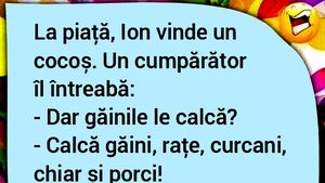 BANCUL ZILEI | La piață, Ion vinde un cocoș