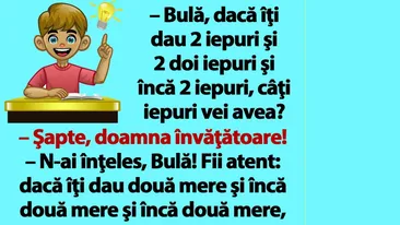 BANC | Bulă, dacă îţi dau 2 iepuri şi 2 doi iepuri şi încă 2 iepuri, câţi iepuri vei avea?