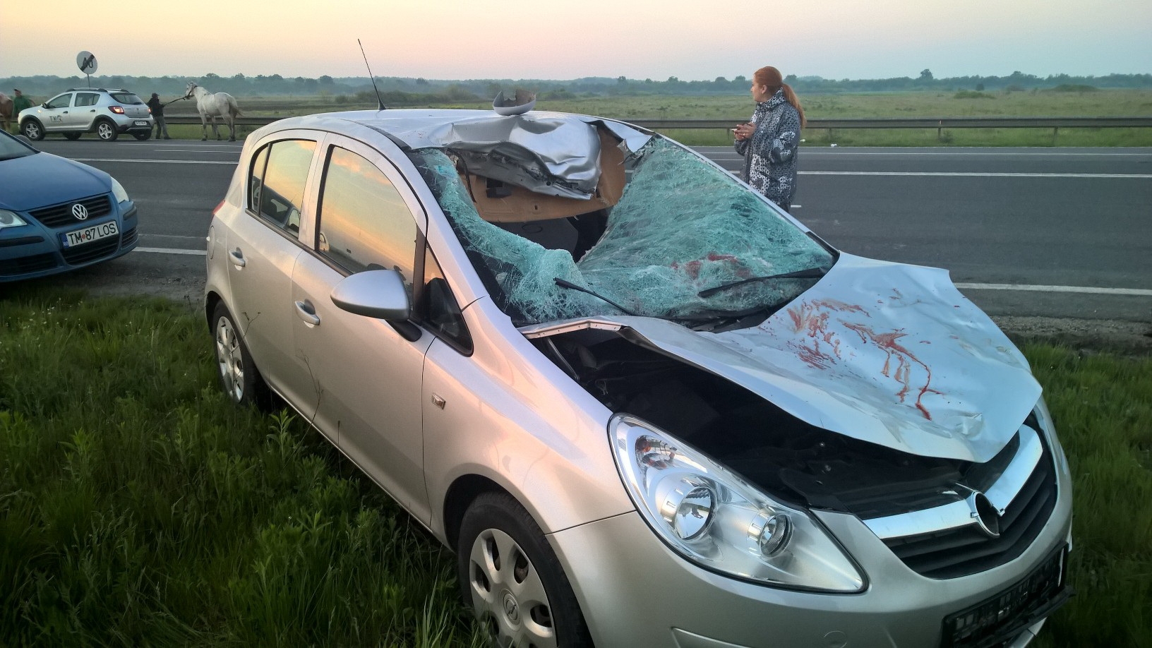 Accident în Buzău, cinci persoane rănite! Un cal a ieșit brusc în stradă…