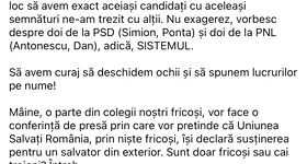 Galerie foto - poza 3