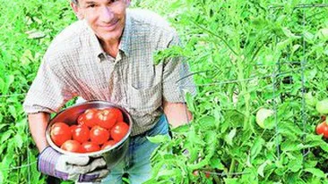 Cum iti poti gasi un job in alta tara