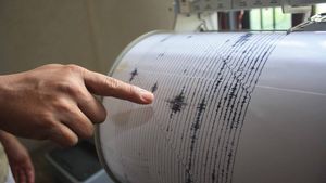 Directorul INFP, prima reacție după cel mai puternic cutremur produs în România în ultima perioadă