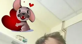 Galerie foto - poza 2