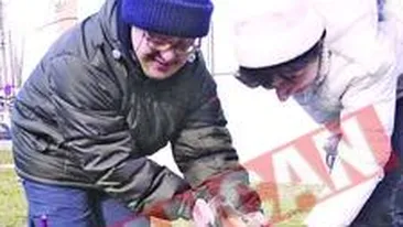 Terapie cu maidanezi