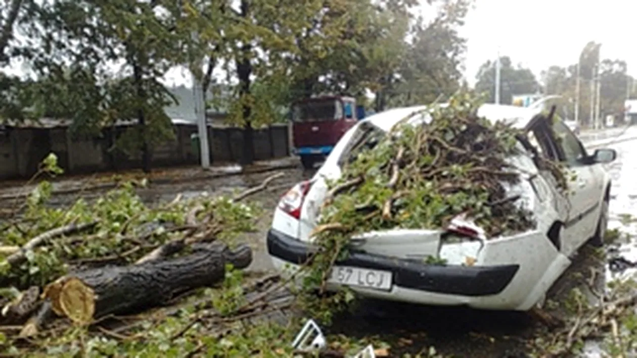 Un barbat a murit dupa ce peste masina pe care o conducea a cazut un copac rupt de vant