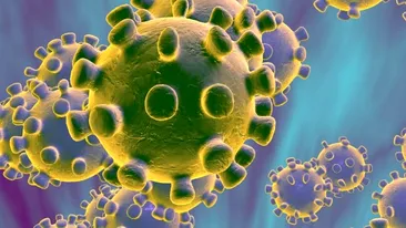 Coronavirus pe alimente? OMS vine cu lămuriri