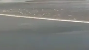 Alerta de tsunami declansata dupa cutremurul de 7,4 grade din nord-estul Japoniei a fost anulata