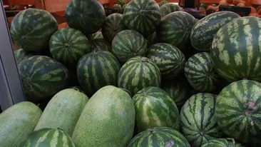 Se plang ca raman cu marfa in galantare dar... Cultivatorii de pepeni ar puteatransforma fructele nevandute in aur! Vezi cum